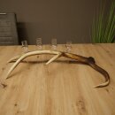 Sterkedrankleverancier 4 x kleine glazen met steel op een stang van roodhertenhoorn Cadeau 27.60.2.75