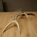 Sterkedrankleverancier 4 x kleine glazen met steel op een stang van roodhertenhoorn Cadeau 27.60.2.75