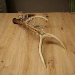 Sterkedrankleverancier 4 x kleine glazen met steel op een stang van roodhertenhoorn Cadeau 27.60.2.75