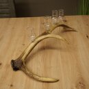 Set da liquore: 4 bicchierini con stelo su un corno di...