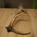 Sterkedrankleverancier 4 x kleine glazen met steel op een stang van roodhertenhoorn Cadeau 27.60.2.77