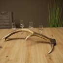 Set da liquore: 4 bicchierini con stelo su un corno di...