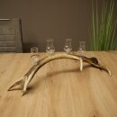 Schnapsanbieter 4 x kleine Gläser Steckglas mit Stiel auf Rothirschstange Geschenk 27.60.2.78