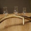 Schnapsanbieter 4 x kleine Gläser Steckglas mit Stiel auf Rothirschstange Geschenk 27.60.2.78