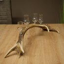 Schnapsanbieter 4 x kleine Gläser Steckglas mit Stiel auf Rothirschstange Geschenk 27.60.2.78