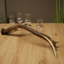 Schnapsanbieter 4 x kleine Gläser Steckglas mit Stiel auf Rothirschstange Geschenk 27.60.2.78