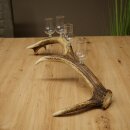 Schnapsanbieter 4 x kleine Gläser Steckglas mit Stiel auf Rothirschstange Geschenk 27.60.2.78