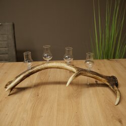 Schnapsanbieter 4 x kleine Gläser Steckglas mit Stiel auf Rothirschstange Geschenk 27.60.2.78