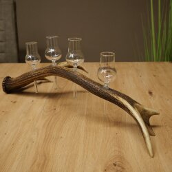 Schnapsanbieter 4 x kleine Gläser Steckglas mit Stiel auf Rothirschstange Geschenk 27.60.2.78