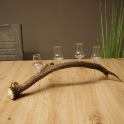 Schnapsanbieter 4 x kleine Gläser Steckglas mit Stiel auf Rothirschstange Geschenk 27.60.2.78