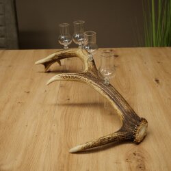 Schnapsanbieter 4 x kleine Gläser Steckglas mit Stiel auf Rothirschstange Geschenk 27.60.2.78