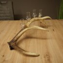 Set da liquore: 4 bicchierini con stelo su un corno di...