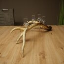 Schnapsanbieter 4 x kleine Gläser Steckglas mit Stiel auf Rothirschstange Geschenk 27.60.2.79