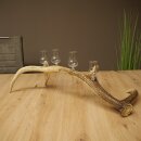 Schnapsanbieter 4 x kleine Gläser Steckglas mit Stiel auf Rothirschstange Geschenk 27.60.2.79