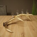 Schnapsanbieter 4 x kleine Gläser Steckglas mit Stiel auf Rothirschstange Geschenk 27.60.2.79