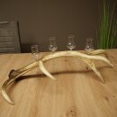 Schnapsanbieter 4 x kleine Gläser Steckglas mit Stiel auf Rothirschstange Geschenk 27.60.2.79