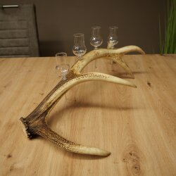 Schnapsanbieter 4 x kleine Gläser Steckglas mit Stiel auf Rothirschstange Geschenk 27.60.2.79