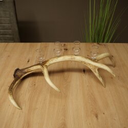 Schnapsanbieter 4 x kleine Gläser Steckglas mit Stiel auf Rothirschstange Geschenk 27.60.2.79