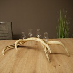 Schnapsanbieter 4 x kleine Gläser Steckglas mit Stiel auf Rothirschstange Geschenk 27.60.2.79
