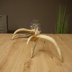 Schnapsanbieter 4 x kleine Gläser Steckglas mit Stiel auf Rothirschstange Geschenk 27.60.2.79