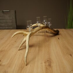 Schnapsanbieter 4 x kleine Gläser Steckglas mit Stiel auf Rothirschstange Geschenk 27.60.2.79