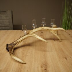 Schnapsanbieter 4 x kleine Gläser Steckglas mit Stiel auf Rothirschstange Geschenk 27.60.2.79