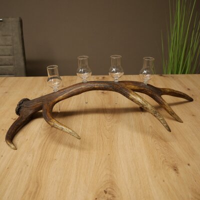 Set da liquore: 4 bicchierini con stelo su un corno di cervo rosso - Regalo 27.60.2.80