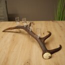 Set da liquore: 4 bicchierini con stelo su un corno di...