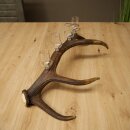 Set da liquore: 4 bicchierini con stelo su un corno di cervo rosso - Regalo 27.60.2.80