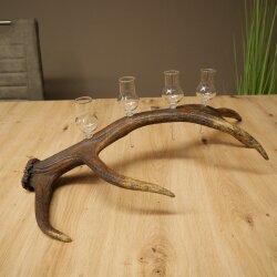 Set da liquore: 4 bicchierini con stelo su un corno di cervo rosso - Regalo 27.60.2.80
