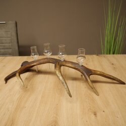 Set da liquore: 4 bicchierini con stelo su un corno di cervo rosso - Regalo 27.60.2.80