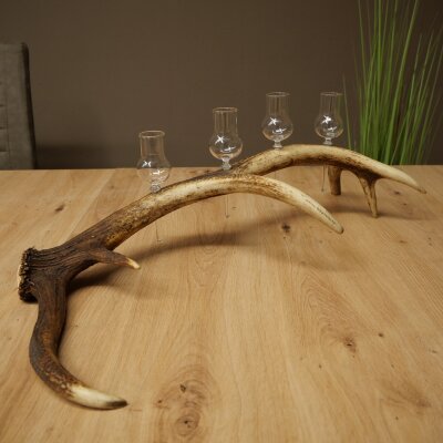 Schnapsanbieter 4 x kleine Gläser Steckglas mit Stiel auf Rothirschstange Geschenk 27.60.2.81
