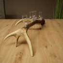 Schnapsanbieter 4 x kleine Gläser Steckglas mit Stiel auf Rothirschstange Geschenk 27.60.2.81