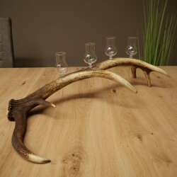 Schnapsanbieter 4 x kleine Gläser Steckglas mit Stiel auf Rothirschstange Geschenk 27.60.2.81