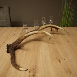 Schnapsanbieter 4 x kleine Gläser Steckglas mit Stiel auf Rothirschstange Geschenk 27.60.2.81