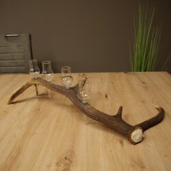 Schnapsanbieter 4 x kleine Gläser Steckglas mit Stiel auf Rothirschstange Geschenk 27.60.2.81