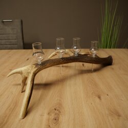 Schnapsanbieter 4 x kleine Gläser Steckglas mit Stiel auf Rothirschstange Geschenk 27.60.2.81