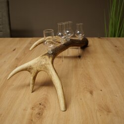 Schnapsanbieter 4 x kleine Gläser Steckglas mit Stiel auf Rothirschstange Geschenk 27.60.2.81
