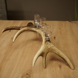 Schnapsanbieter 4 x kleine Gläser Steckglas mit Stiel auf Rothirschstange Geschenk 27.60.2.81