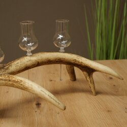 Schnapsanbieter 4 x kleine Gläser Steckglas mit Stiel auf Rothirschstange Geschenk 27.60.2.81