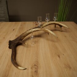 Schnapsanbieter 4 x kleine Gläser Steckglas mit Stiel auf Rothirschstange Geschenk 27.60.2.81