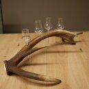 Set da liquore: 4 bicchierini con stelo su un corno di...