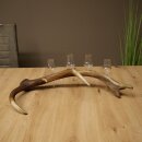Set da liquore: 4 bicchierini con stelo su un corno di...