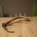 Schnapsanbieter 4 x kleine Gläser Steckglas mit Stiel auf Rothirschstange Geschenk 27.60.2.83