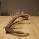 Schnapsanbieter 4 x kleine Gläser Steckglas mit Stiel auf Rothirschstange Geschenk 27.60.2.83