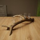 Schnapsanbieter 4 x kleine Gläser Steckglas mit Stiel auf Rothirschstange Geschenk 27.60.2.83