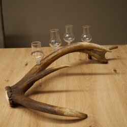 Schnapsanbieter 4 x kleine Gläser Steckglas mit Stiel auf Rothirschstange Geschenk 27.60.2.83