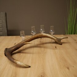 Schnapsanbieter 4 x kleine Gläser Steckglas mit Stiel auf Rothirschstange Geschenk 27.60.2.83