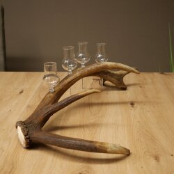 Schnapsanbieter 4 x kleine Gläser Steckglas mit Stiel auf Rothirschstange Geschenk 27.60.2.83