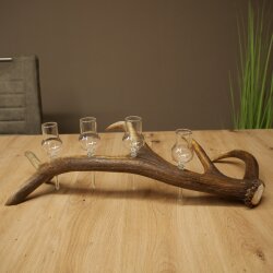 Schnapsanbieter 4 x kleine Gläser Steckglas mit Stiel auf Rothirschstange Geschenk 27.60.2.83